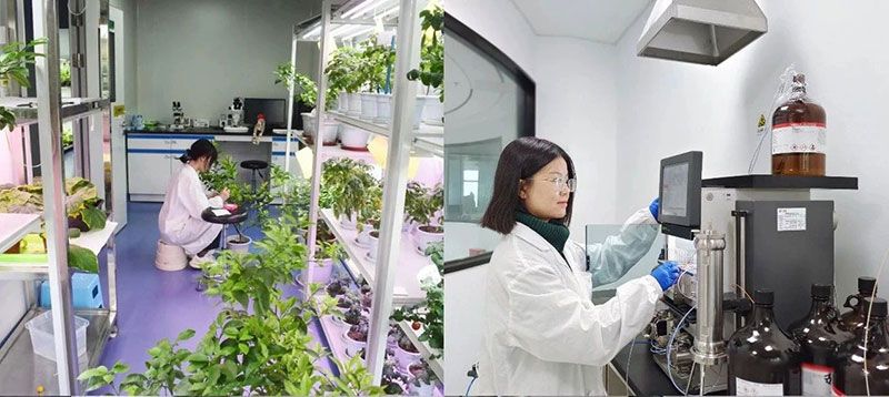 打造新朝陽生物科技“五張名片”，服務農業(yè)高質量發(fā)展！
